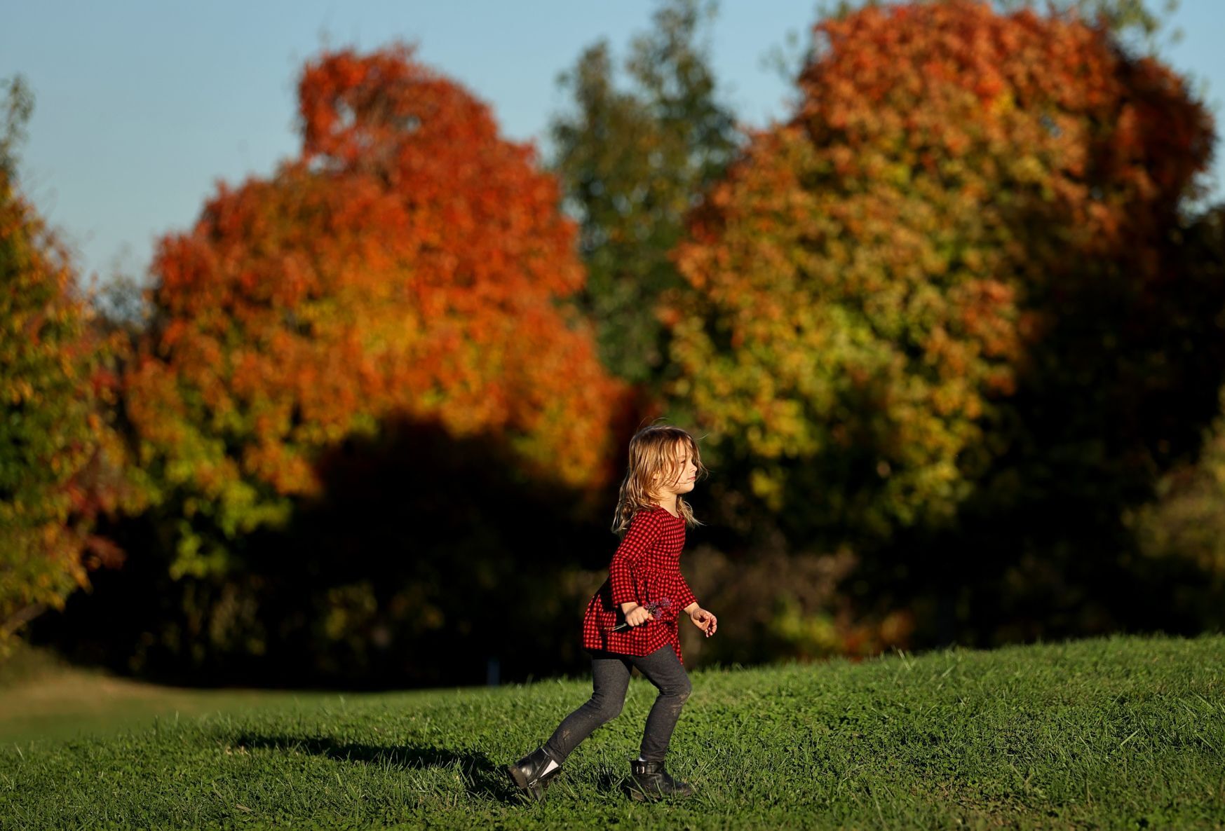 Fall color around St. Louis 2021